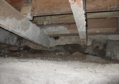 Crawlspace: Yes we go in there.